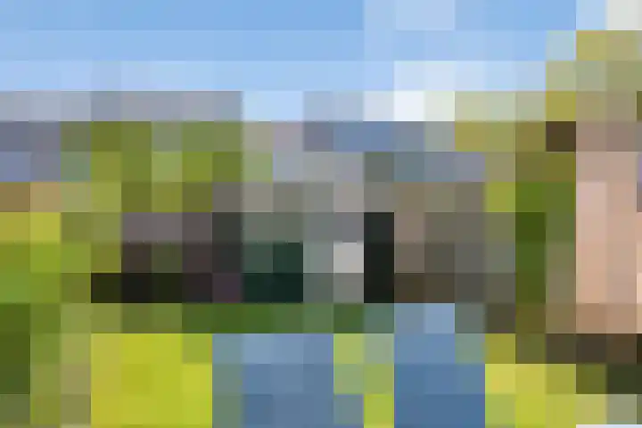 Welnahorst 42 Enschede thumbnail 31