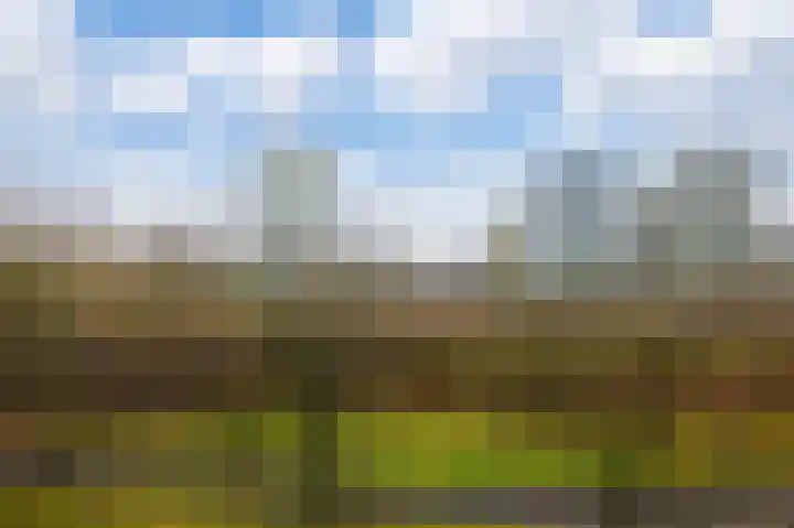 Welnastraat 221 Amsterdam thumbnail 21