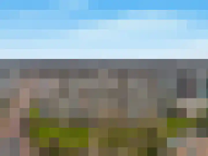 Screenshot van de website van www.welpmakelaardij.nl