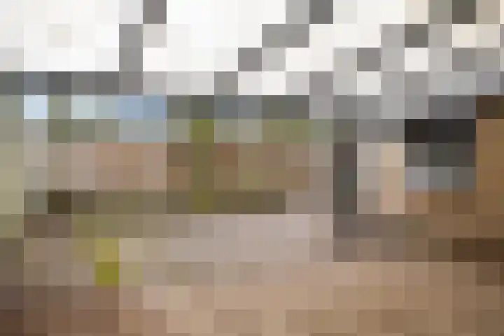 Welpelohoek 10 Enschede thumbnail 30