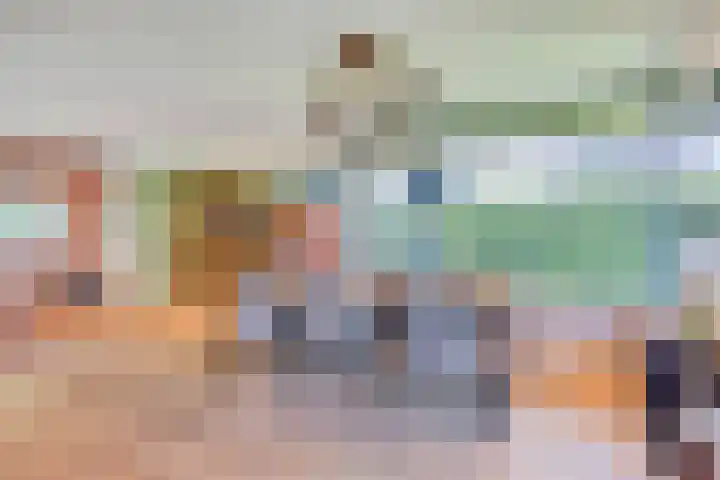 Welpenheuvel 2 De Mortel thumbnail 19