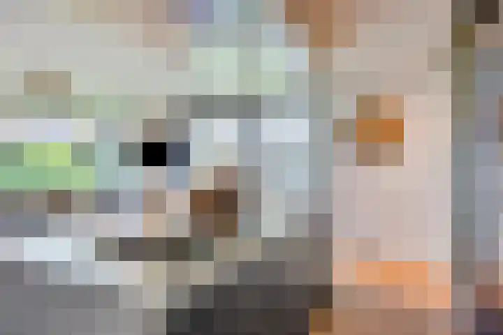 Welpenheuvel 2 De Mortel thumbnail 24