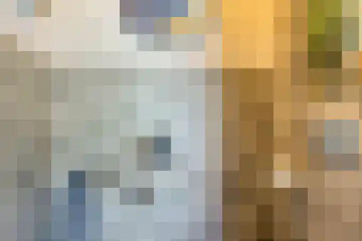 Welpenheuvel 2 De Mortel thumbnail 26