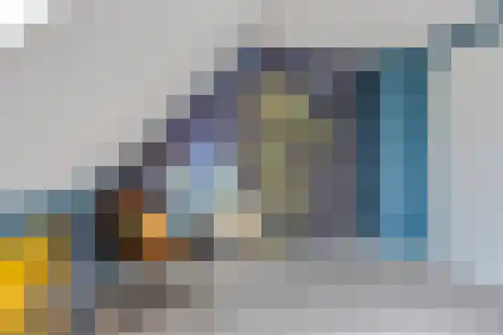 Welpenheuvel 2 De Mortel thumbnail 30