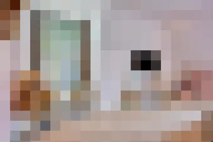 Welpenheuvel 2 De Mortel thumbnail 35