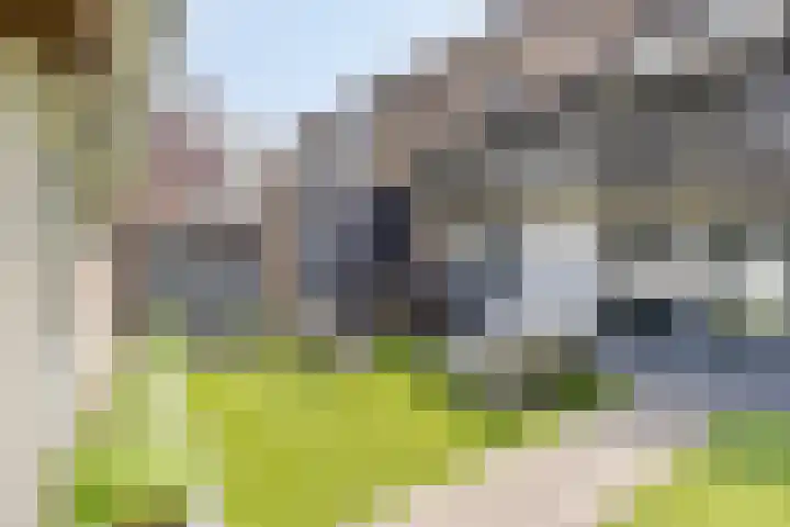 Welpenheuvel 2 De Mortel thumbnail 43