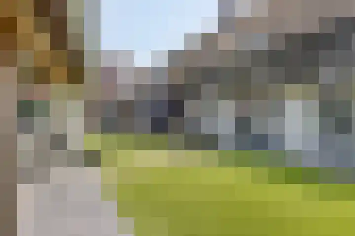 Welpenheuvel 2 De Mortel thumbnail 44