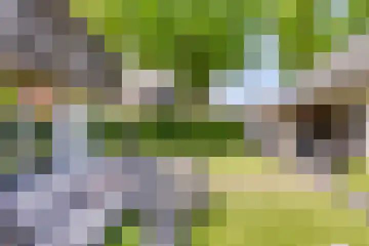 Welpenheuvel 2 De Mortel thumbnail 45