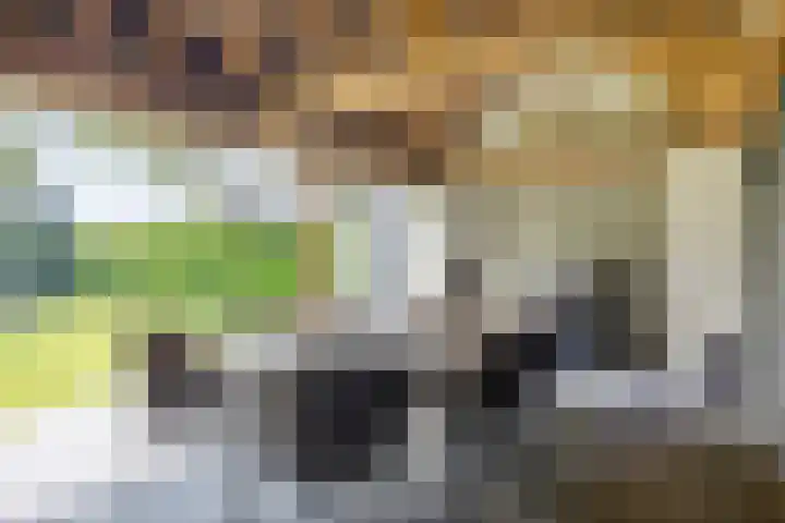 Welpenheuvel 2 De Mortel thumbnail 46
