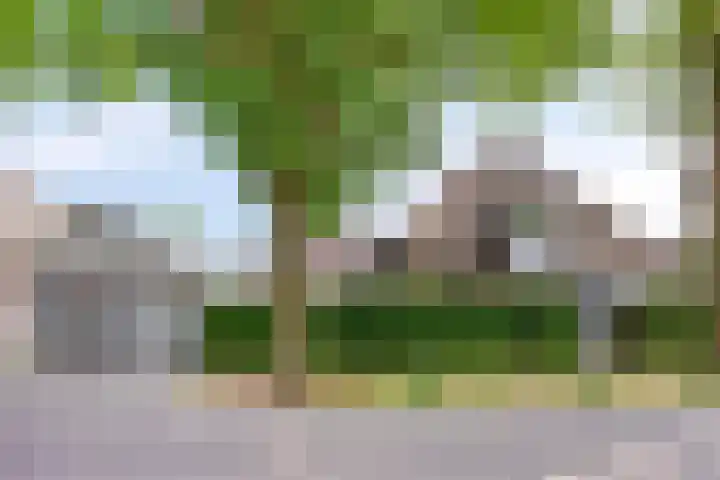 Welpenheuvel 2 De Mortel thumbnail 49