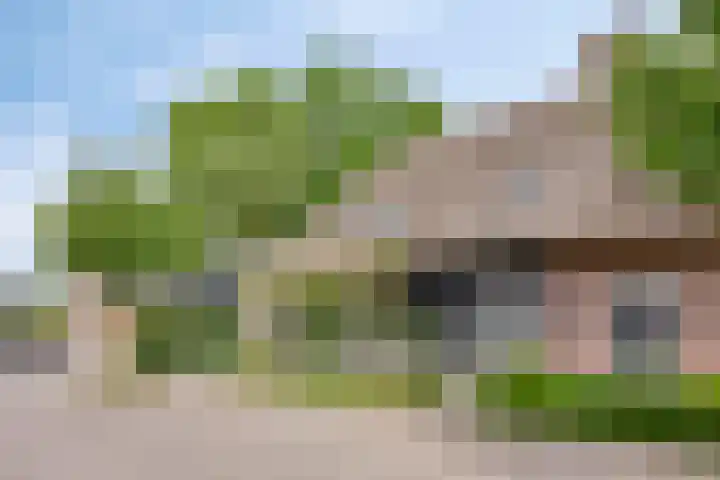 Welpenheuvel 2 De Mortel thumbnail 50