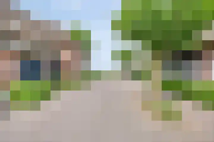 Welpenheuvel 2 De Mortel thumbnail 51