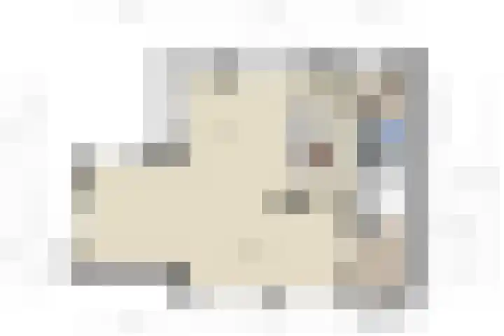 Welpenheuvel 2 De Mortel thumbnail 52