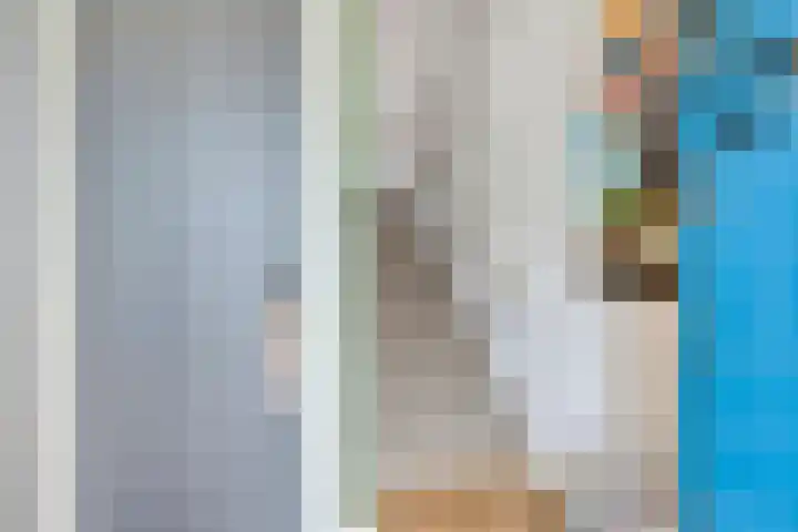 Welpenheuvel 2 De Mortel thumbnail 8