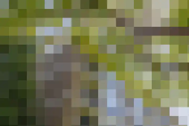 Welschapsedijk 143 Eindhoven thumbnail 11