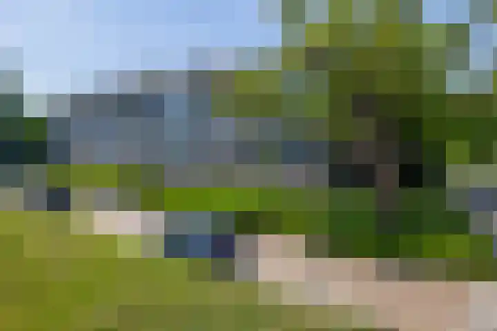 Welschapsedijk 143 Eindhoven thumbnail 9