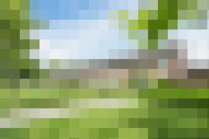 Welschapsedijk 26 Eindhoven thumbnail 30