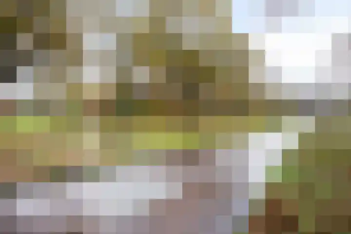 Welschapsedijk 60 Eindhoven thumbnail 32