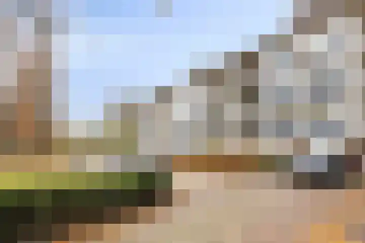 Welschapsedijk 60 Eindhoven thumbnail 9