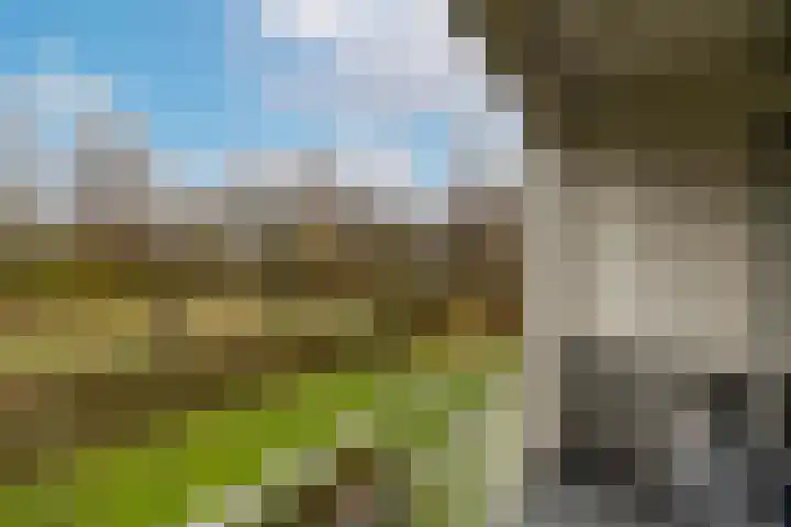 Welschapsedijk 64 Eindhoven thumbnail 30