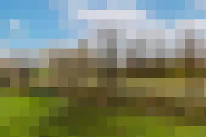 Welschapsedijk 64 Eindhoven thumbnail 32