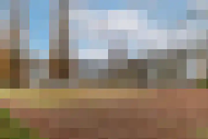 Welschapsedijk 64 Eindhoven thumbnail 40