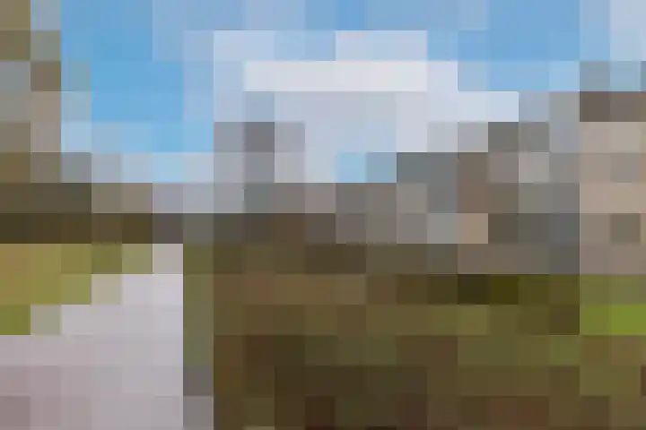 Welschapsedijk 64 Eindhoven thumbnail 47