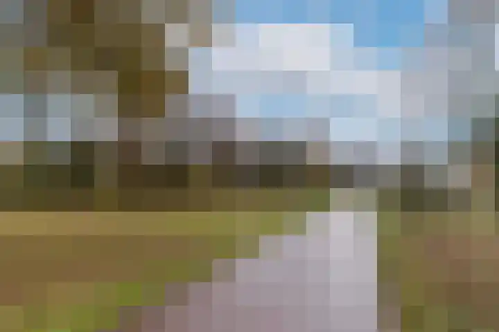 Welschapsedijk 64 Eindhoven thumbnail 48
