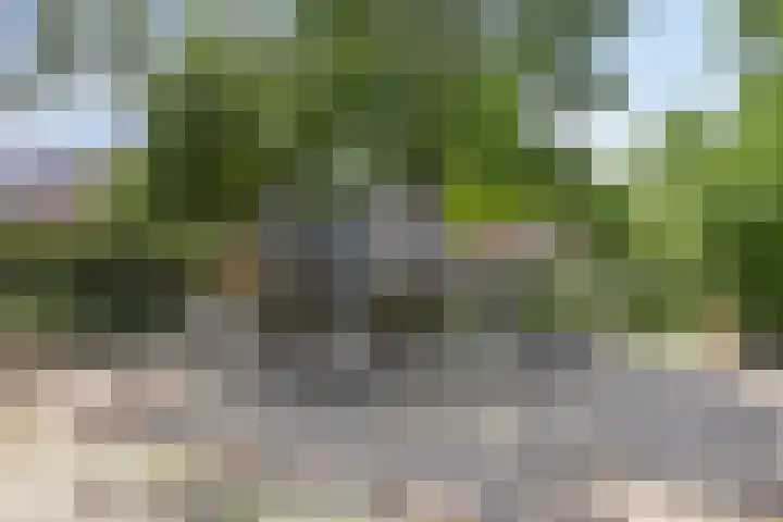 Welschapsedijk 71 Eindhoven thumbnail 23