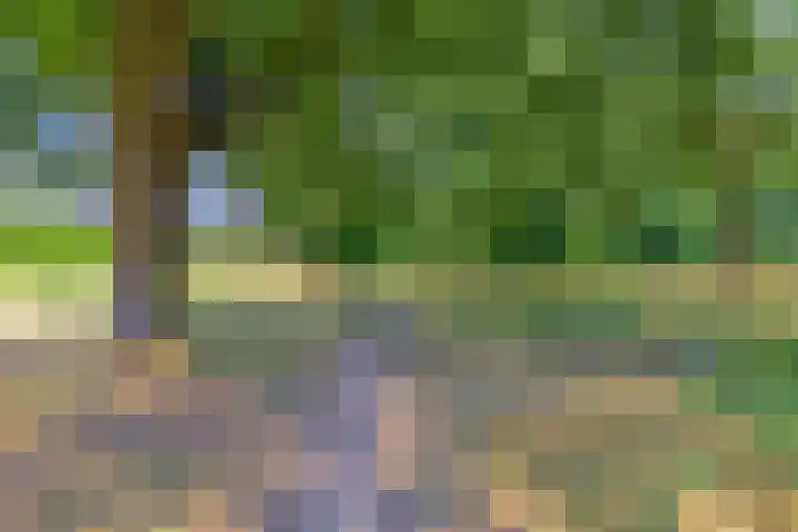 Welschapsedijk 71 Eindhoven thumbnail 26