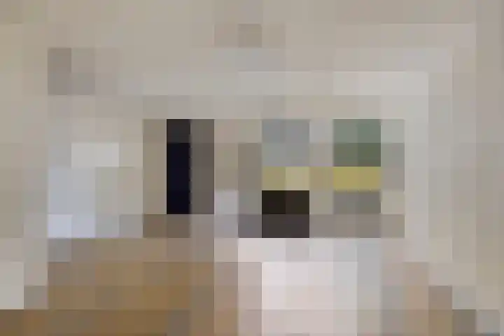 Welschapsedijk 71 Eindhoven thumbnail 5