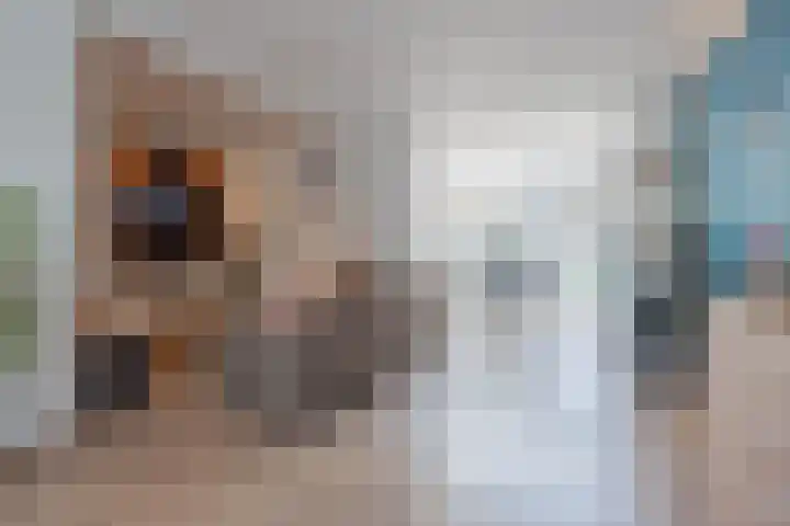 Weltersweide 37 Horst thumbnail 4