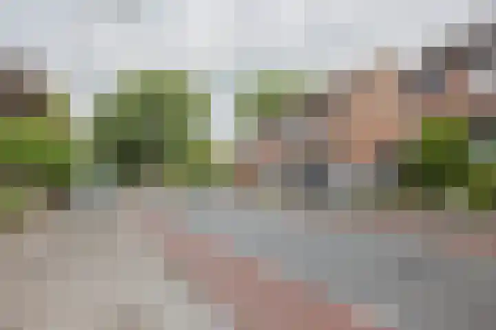 Weltersweide 37 Horst thumbnail 45