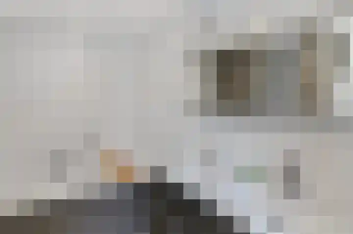 Wendakker 16 Steenwijk thumbnail 13