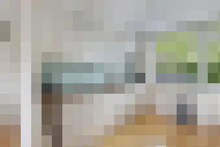 Wendakker 16 Steenwijk thumbnail 13