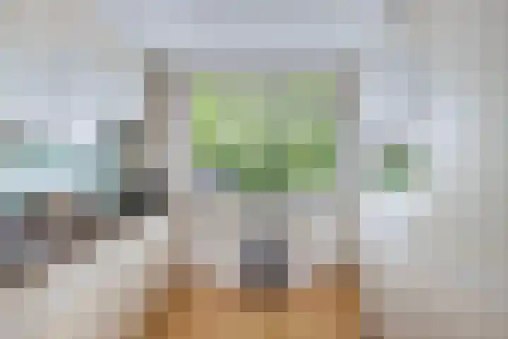 Wendakker 16 Steenwijk thumbnail 15