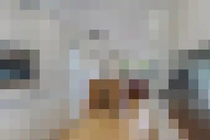 Wendakker 16 Steenwijk thumbnail 16