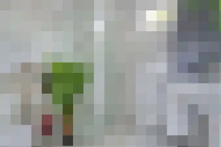 Wendakker 16 Steenwijk thumbnail 20