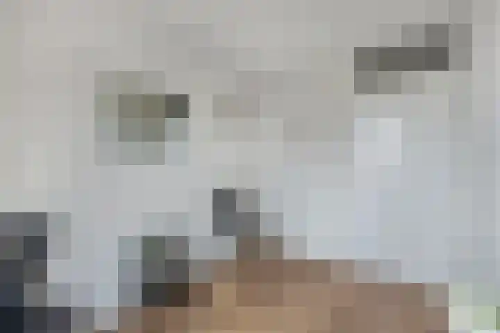 Wendakker 16 Steenwijk thumbnail 25