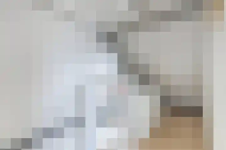 Wendakker 16 Steenwijk thumbnail 26