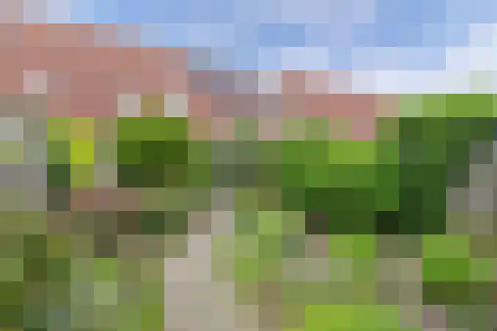 Wendakker 16 Steenwijk thumbnail 33