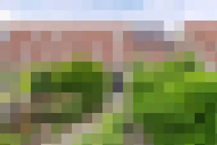 Wendakker 16 Steenwijk thumbnail 34