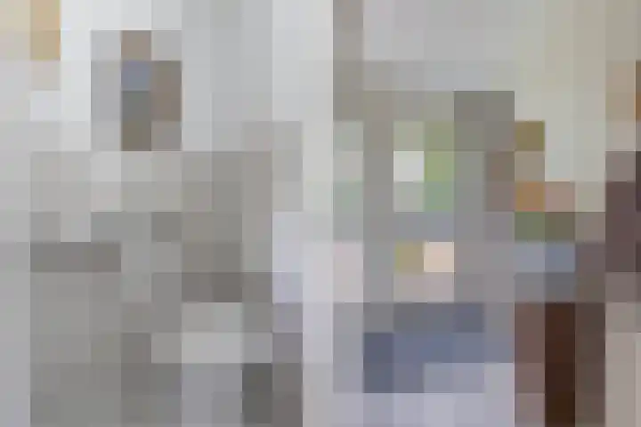 Wendakker 16 Steenwijk thumbnail 5