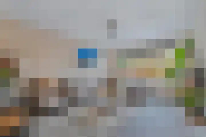Wendakker 68 Nagele thumbnail 18