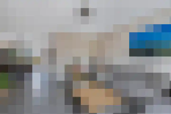 Wendakker 68 Nagele thumbnail 21