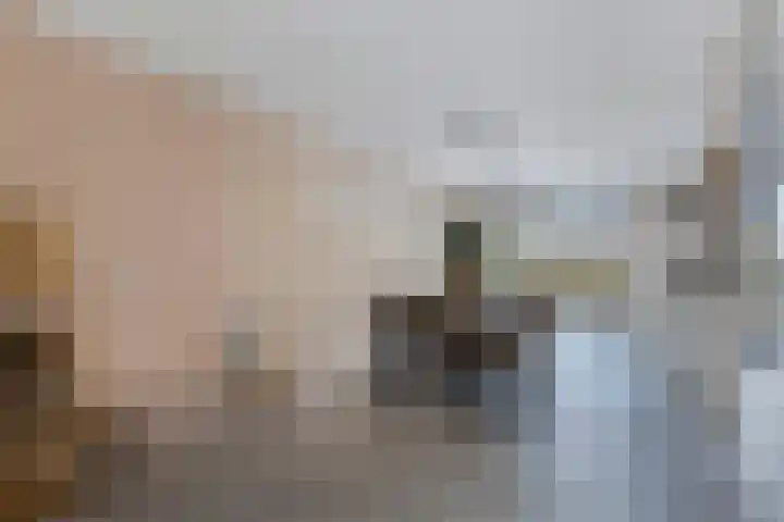 Wendakker 68 Nagele thumbnail 22