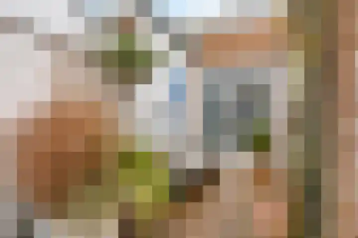 Wendakker 68 Nagele thumbnail 24