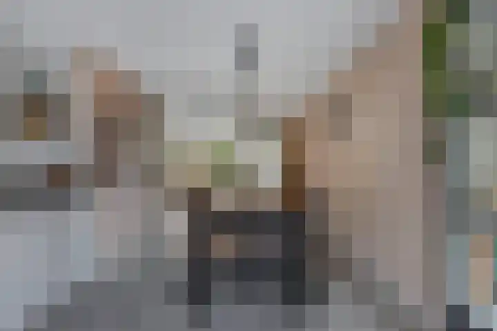 Wendakker 68 Nagele thumbnail 24