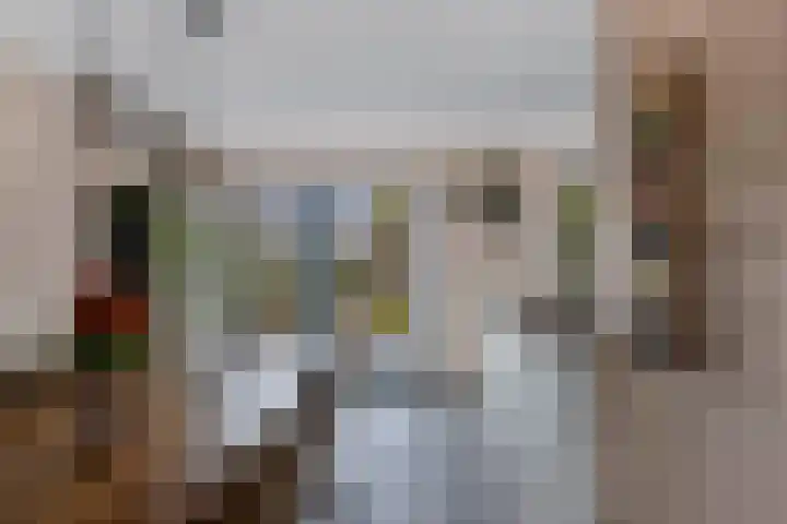 Wendakker 68 Nagele thumbnail 25