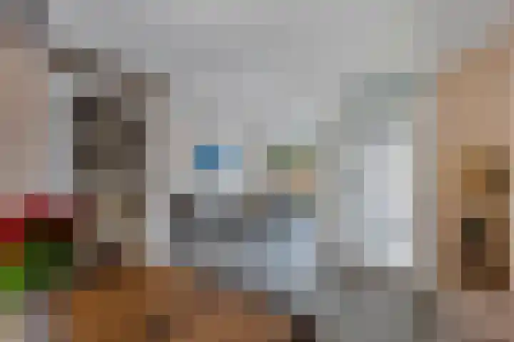 Wendakker 68 Nagele thumbnail 26